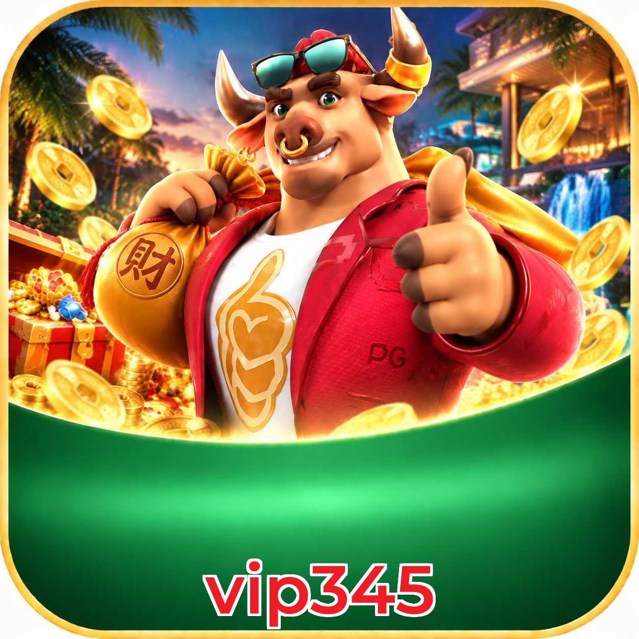 vip345 VIP Program