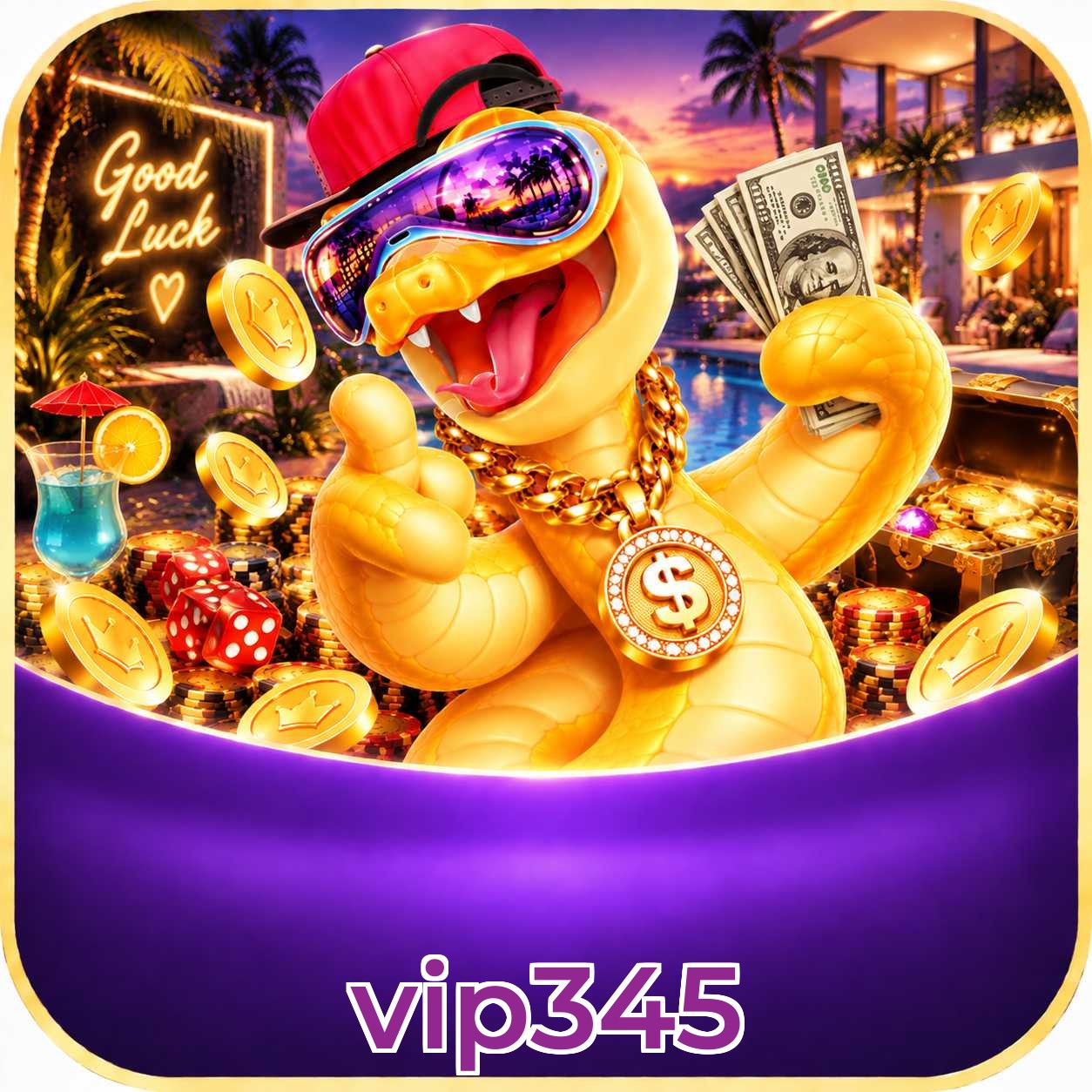 vip345 Logo