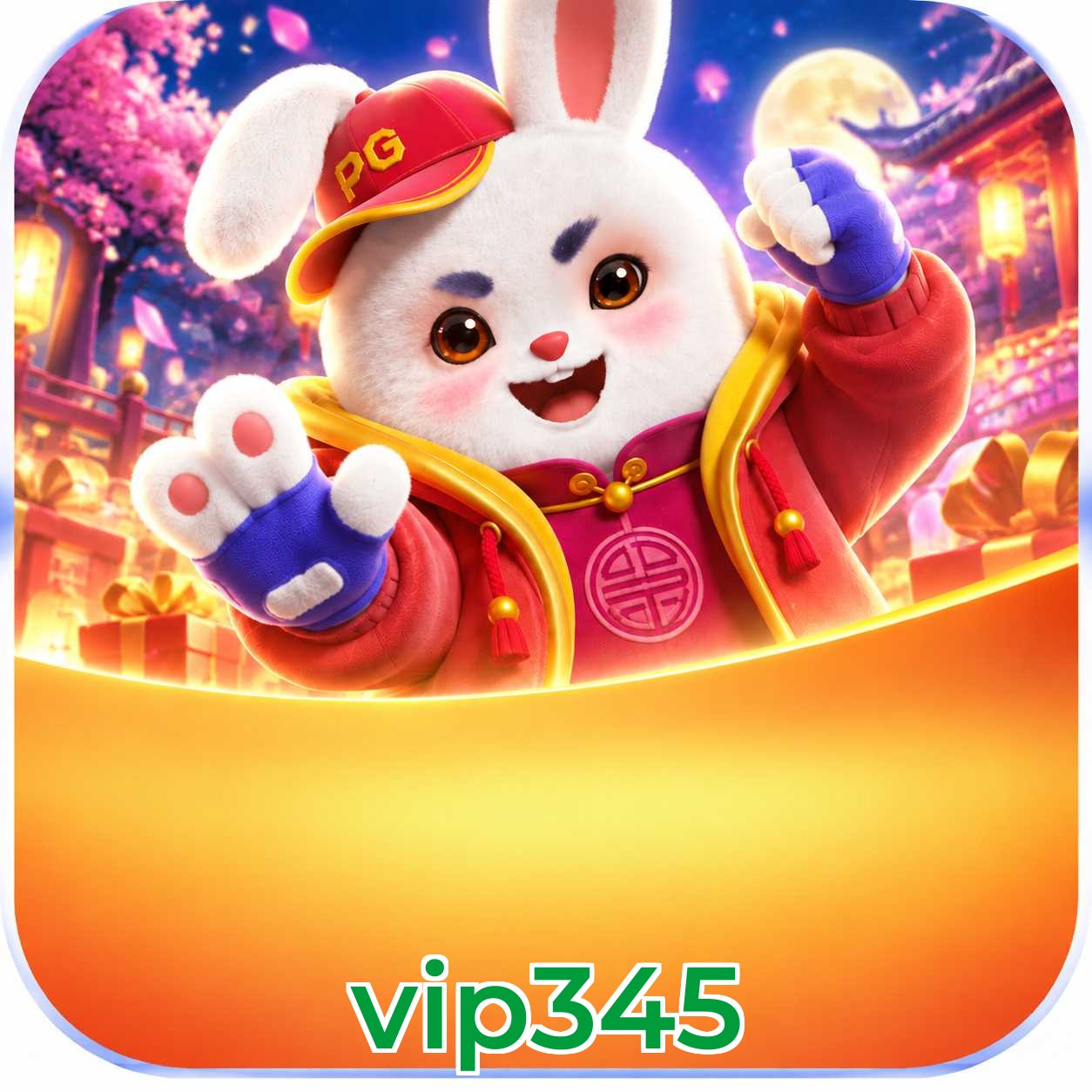 vip345 Segurança