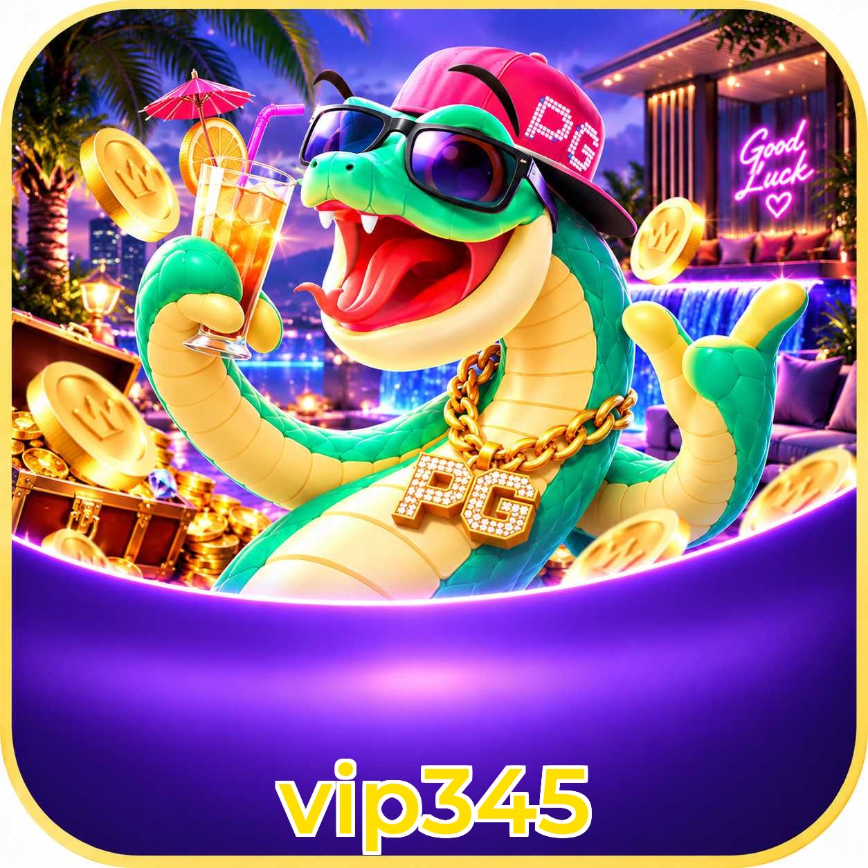 vip345 Interface