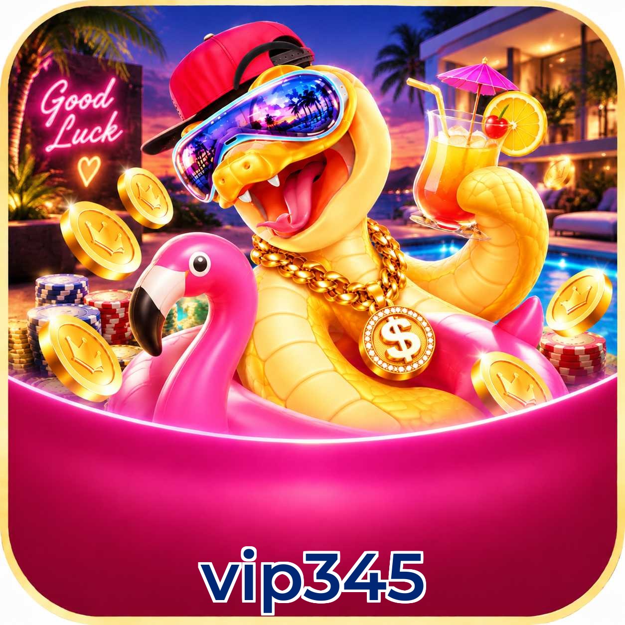vip345 Logo
